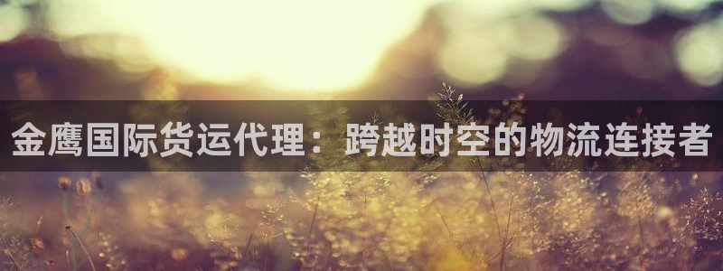 okpay钱包安卓官网下载