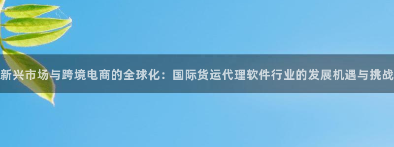 okpay钱包怎么提现