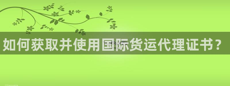 okpay钱包提现教程