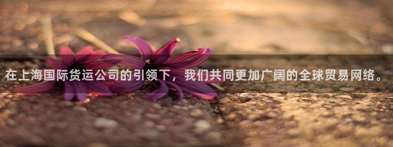 okpay钱包安卓版