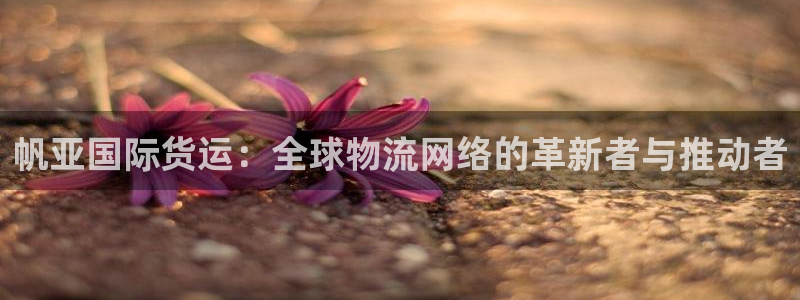 okpay钱包地址在哪里