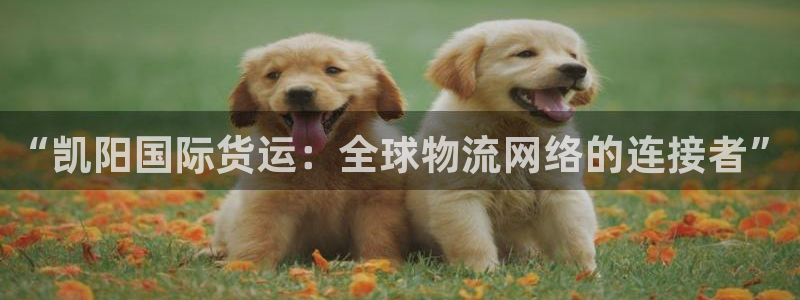 okpay钱包旧版本