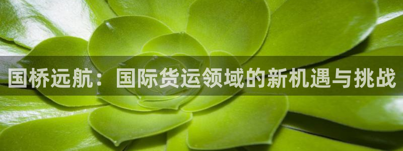 okpay钱包链接