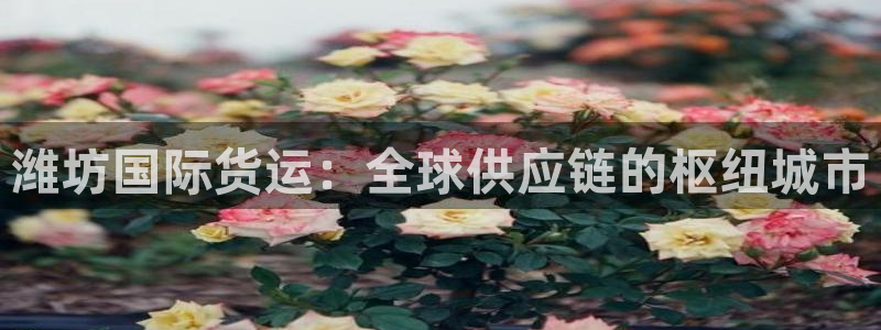 okpay钱包下载链接