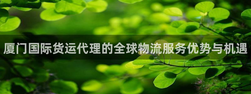 okpay钱包怎么充值：厦门国际货运代理的全球物流服务优